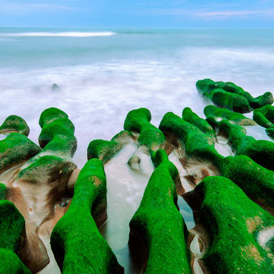 Positioning net-zero equities for resilience in crisis, strength in transition