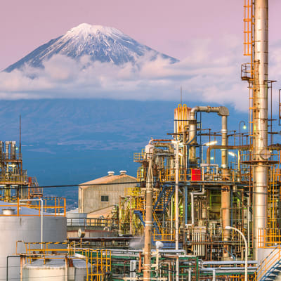 Energy shock exposes asymmetries in Asia