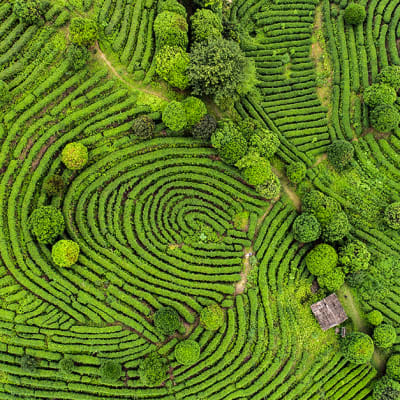 LOIM commodities expertise recognised with two Lipper Fund Awards 