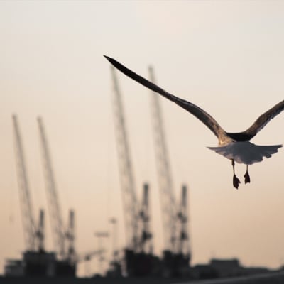 US-Iran accord frees up Hormuz shipping