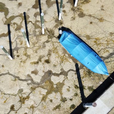 A changing climate, El Niño and the adaptation economy