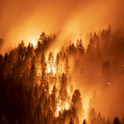 Dans un monde plus chaud et plus exposé aux risques, la nature devient une infrastructure économique critique