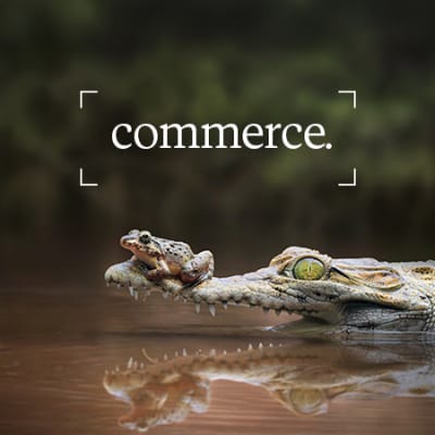 Repenser les échanges commerciaux, sans les réduire : quand la résilience l’emporte sur l’efficacité