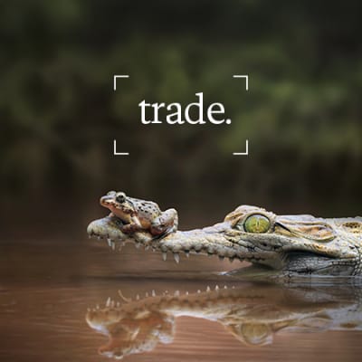 The new playbook: how pragmatism is reshaping global trade 