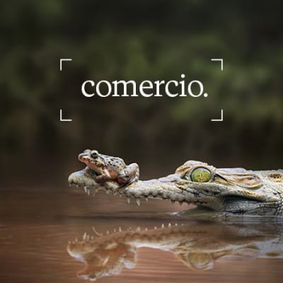 La reconfiguración del comercio internacional: cuando la resiliencia se impone a la eficiencia