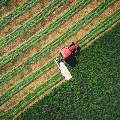 Transformer les déchets agricoles en ressources : le potentiel de l’agriculture régénératrice