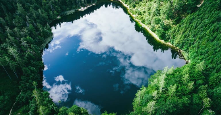 How can the net-zero theme add value for investors?