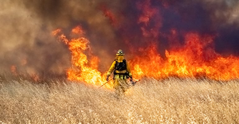 Prédire les flammes : comment l’IA révolutionne la lutte contre les incendies de forêt