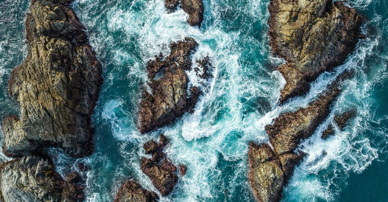 Sustainability adapts to policy pressures and opportunity