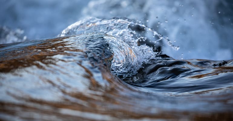 Nature-positive investments gain traction