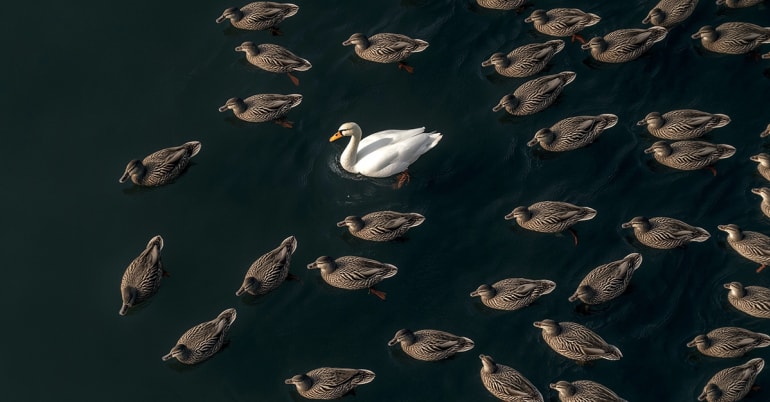 Away from the pack: how convertibles enhance portfolio diversification beyond equity and credit markets 