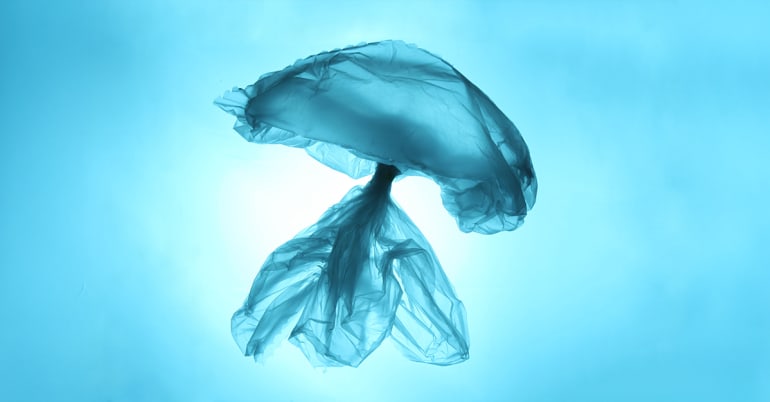 Pollution plastique : le revers du traité à Genève et la voie à suivre