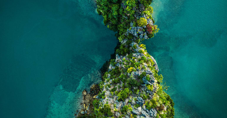 The Intelligent Allocator: the comforting illusion of market timing