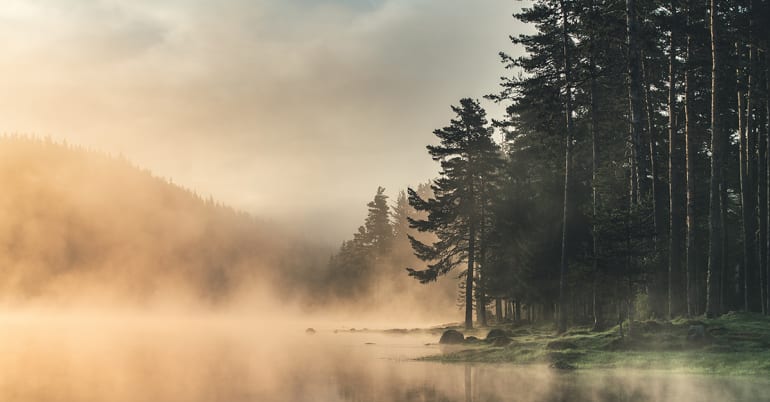 Forward thinking in net-zero investing: four myths debunked