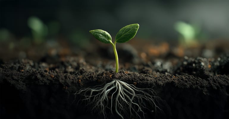 Pourquoi l’économie durable continue à avancer : nos perspectives pour 2026 