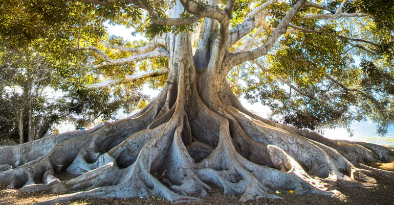 Sovereign bonds revisited