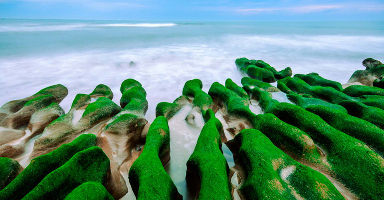 Positioning net-zero equities for resilience in crisis, strength in transition