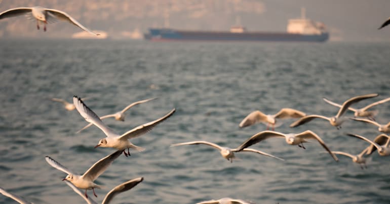 Conflict pushes sustainable solutions up the agenda