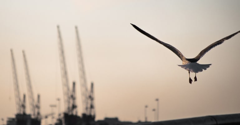 US-Iran accord frees up Hormuz shipping