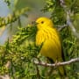 Supporting the transition towards a nature-based economy 