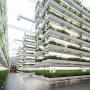 Can technology be sustainability’s white knight?