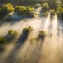 A fair COP – Deep-dive into five areas for progress