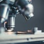 Covid vaccines; an economic shot in the arm