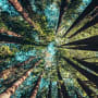 COVID-19: what does an economic recovery look like?