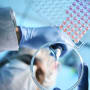 Vaccins contre la Covid-19, la course aux solutions