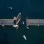Q1 2020 Outlook: Post-trade shock hangover