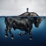 Affordable cost of capital – globally – underpins this bull market