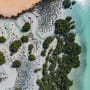 Lombard Odier survey: Next Gen HNWIs go “all in” on Islamic and Sustainable Assets