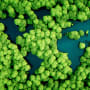 Lombard Odier acquires stake in Systemiq to enhance sustainable investment framework