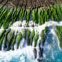 Lombard Odier lanciert „Natural Capital“-Strategie