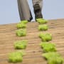 Lombard Odier verstärkt Engagement im Bereich Nachhaltigkeit mit zwei strategischen Neueinstellungen