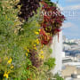 Monocle and Lombard Odier - Food and the City II