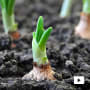 L'agricoltura di domani: come nutrire una popolazione in crescita preservando il pianeta?
