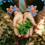 Une tasse de thé en Thaïlande : voici le producteur Monsoon, qui privilégie la traçabilité et le respect de la forêt