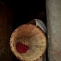 Sustainable coffee means thinking about communities, climate and circularity: how does Nespresso blend all three?