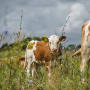 FarmED – der Betrieb, der die Bodengesundheit in den Mittelpunkt stellt – Teil I