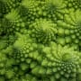 10 tips for a cleaner, greener (and leaner) 2023