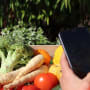 The CLIC® Chronicles:  Meet Phenix: the start-up helping everyone fight food waste