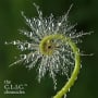 The CLIC® Chronicles: 10 ways to build a circular economy and the companies leading the way