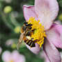 Now it is time to invest in the health of nature