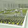 How Japan is using digital farming to make agriculture sustainable
