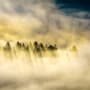 How to reduce a company’s carbon footprint in the race to net zero