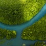 Nature is our most valuable asset