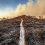 Son Altesse Royale le Prince de Galles annonce l’initiative « Natural Capital », soutenue par Lombard Odier, lors du sommet One Planet