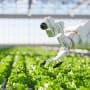 Die CLIC®-Chronik: Wie Technologie die Zukunft der Landwirtschaft verändert