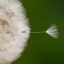 The 10 principles of a circular economy